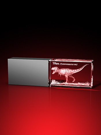 T-Rex - USB-Stick, LED weiß, 64 GB – GLASFOTO.COM